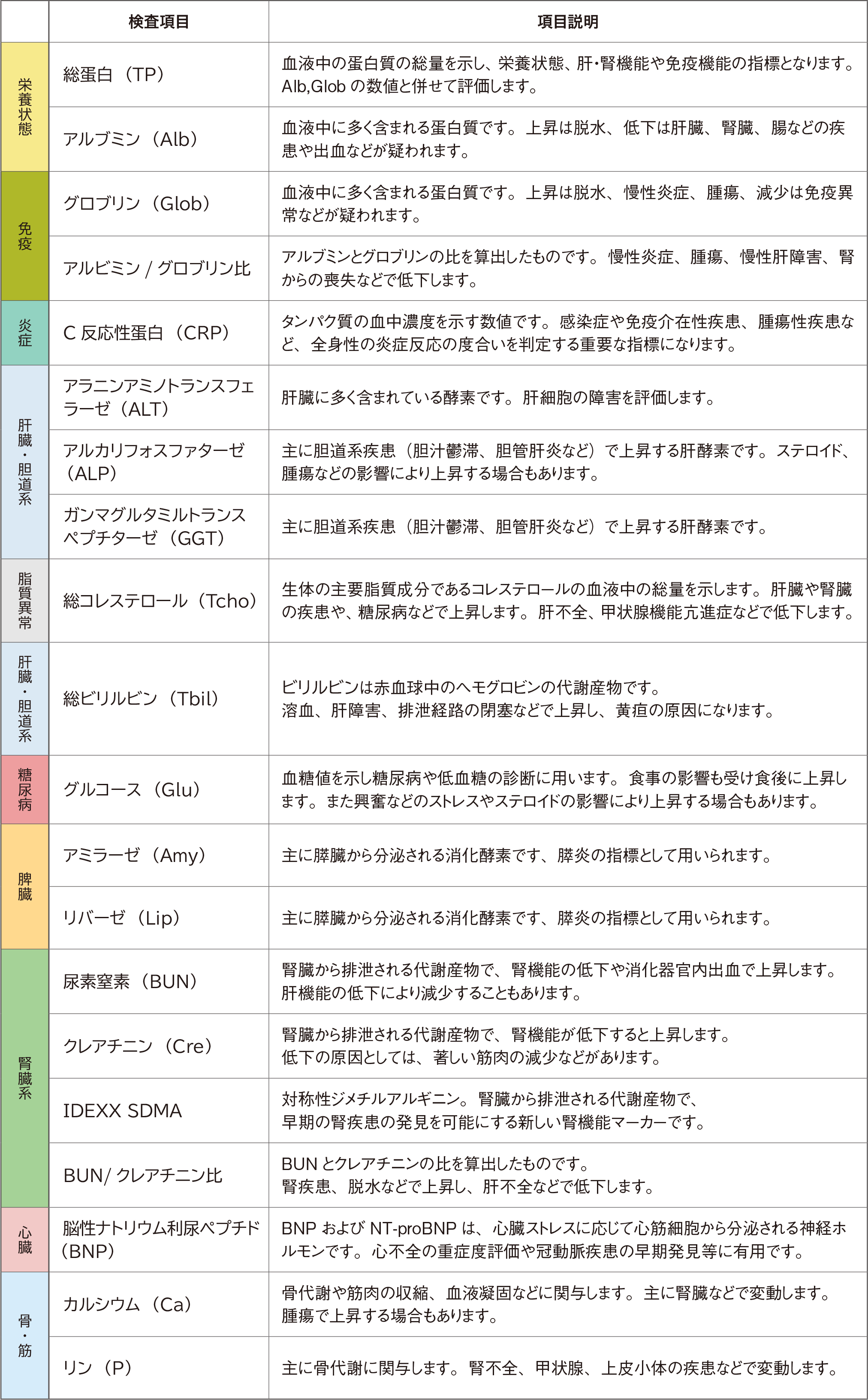 生化学検査